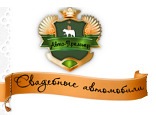 ap-perm.ru