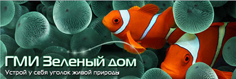 www.aqua-gh.ru