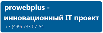 prowebplus.ru