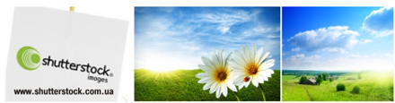 shutterstock.com.ua