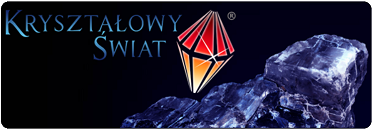 www.saltchamber.com