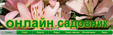 sadonlain.ru